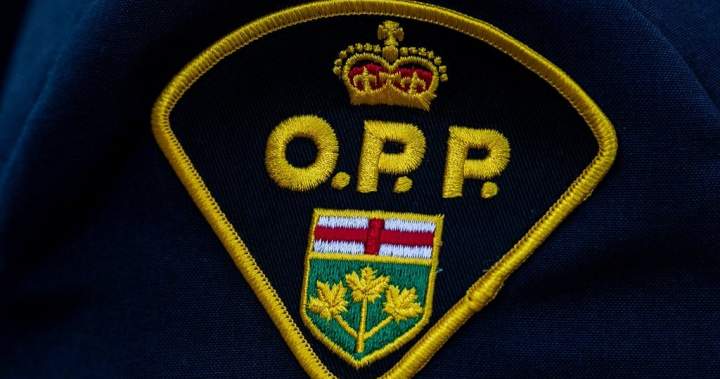 Motorcycle driver found dead northeast of Tweed after crash: OPP