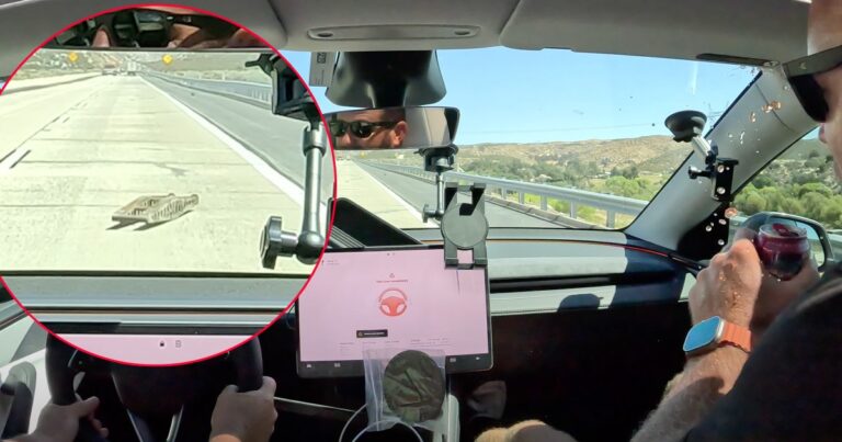 Tesla Fans Try Coast-to-Coast Self-Driving Trip, Crash Almost Immediately
